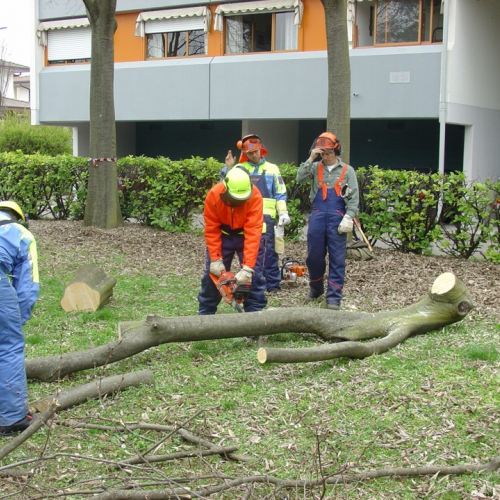 foto Cordenons 15/03/08 n. 44 / 21347