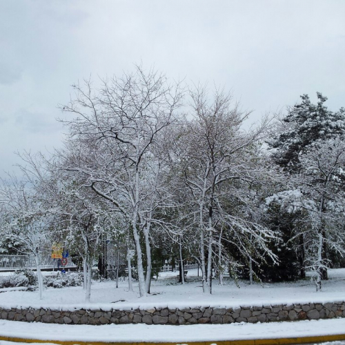 Emergenza neve a Monfalcone il 08/12/12 n. 7 / 89612