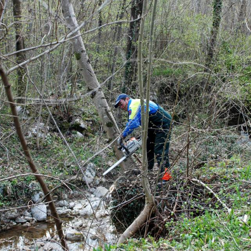 Intervento Attimis n. 48 / 78835