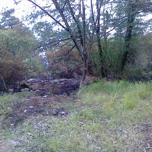 Incendio boschivo 23/06 n. 8 / 67746