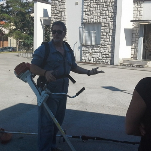 Foto n.4 / 113907