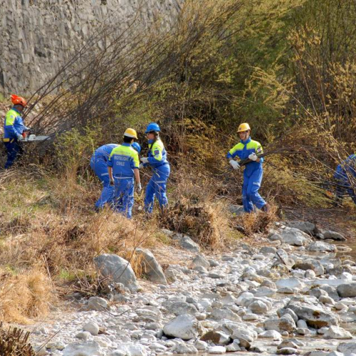 Intervento Venzone n. 41 / 79081