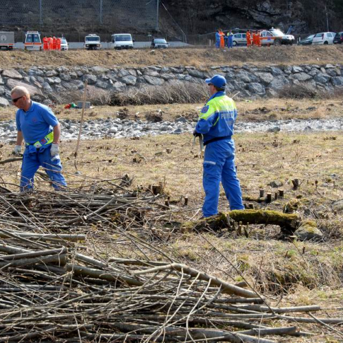 Intervento Ovaro n. 47 / 79029