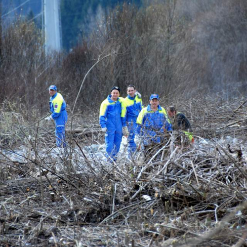 Intervento Ovaro n. 48 / 79030