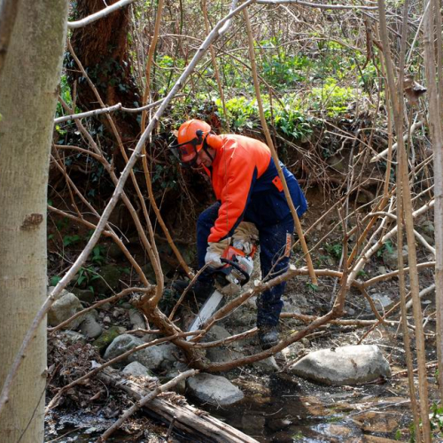 Intervento Attimis n. 51 / 78838