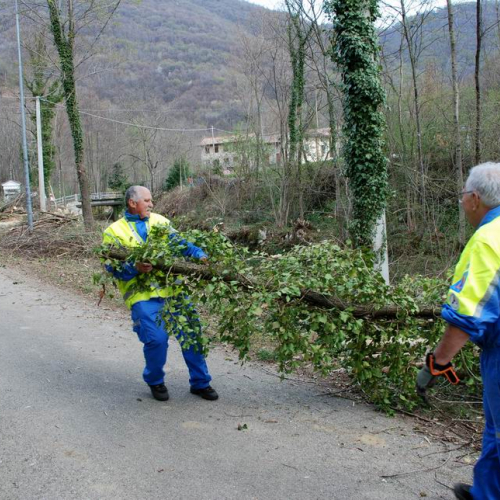 Intervento Attimis n. 52 / 78839