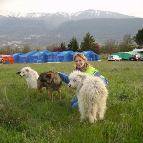 Emergenza Abruzzo n. 55 / 38245