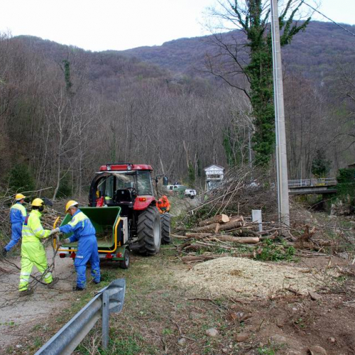 Intervento Attimis n. 55 / 78842