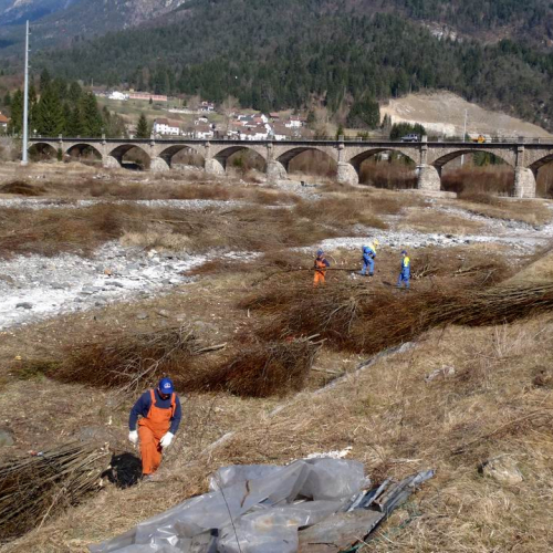 Intervento Ovaro n. 54 / 79036