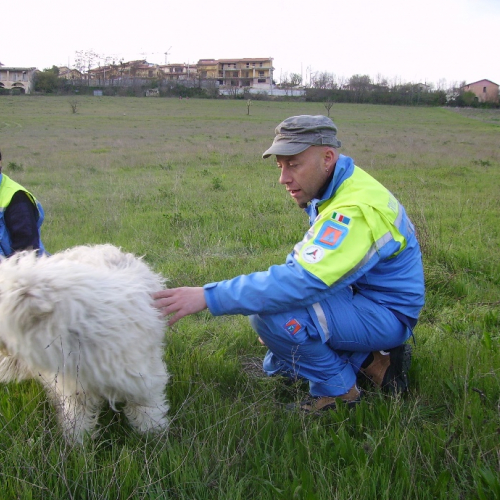 Emergenza Abruzzo n. 56 / 38246