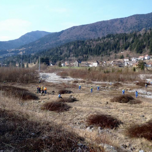 Intervento Ovaro n. 55 / 79037