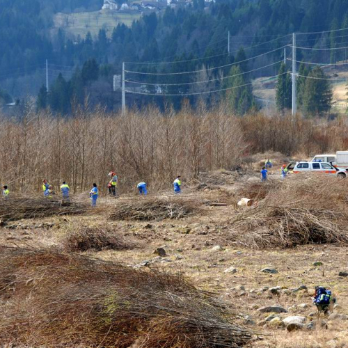 Intervento Ovaro n. 56 / 79038