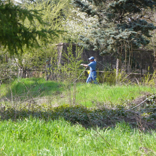 Emergenza Abruzzo n. 59 / 38122