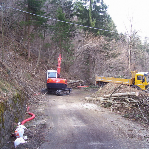 Sopralluogo consegna lavori OPI650 n. 5 / 36854