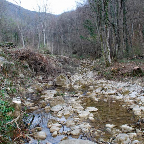 Intervento Attimis n. 58 / 78845