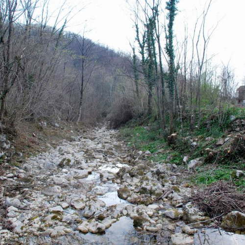 Intervento Attimis n. 59 / 78846