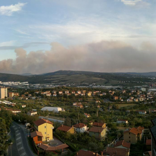 Incendio zona Crnotice n.4 / 84964