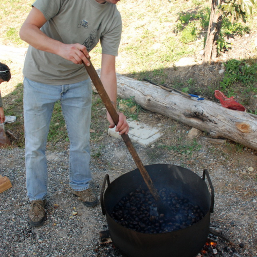 Castagnata 2011 n. 27 / 71378