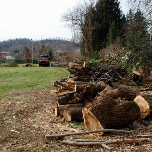 Intervento Attimis n. 62 / 78849