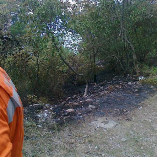 Incendio boschivo 23/06 n. 10 / 67748