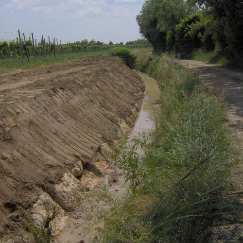 Foto OPI CD2/352.166 n. 20 / 40025