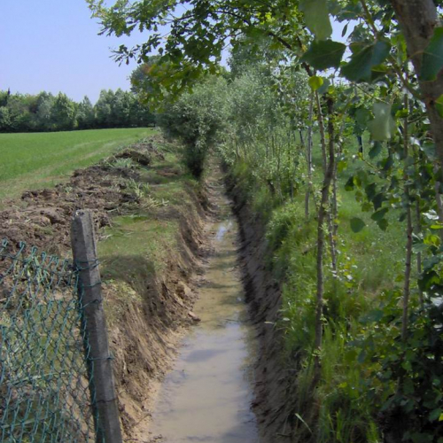 Foto OPI CD2/352.166 n. 24 / 40029