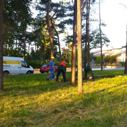 Attivit‡ di prevenzione 20/06/13 n. 6 / 97119