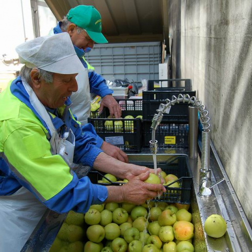 Intervento Venzone n. 64 / 79104