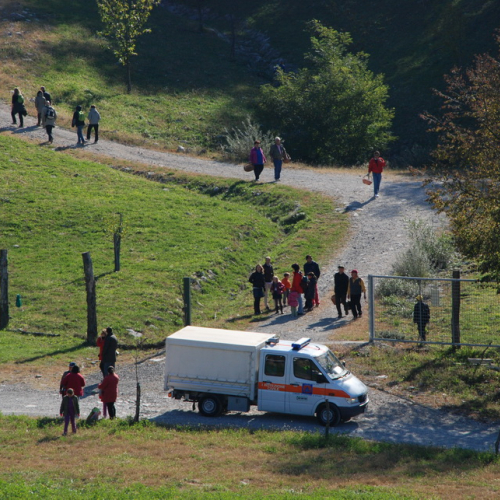 Castagnata 2011 n. 31 / 71382