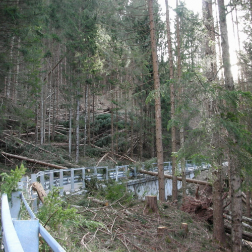 Foto 27/01 n. 7 / 20280