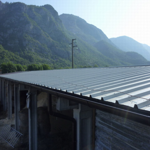 OPI CD2/660.056 n. 7 / 54493