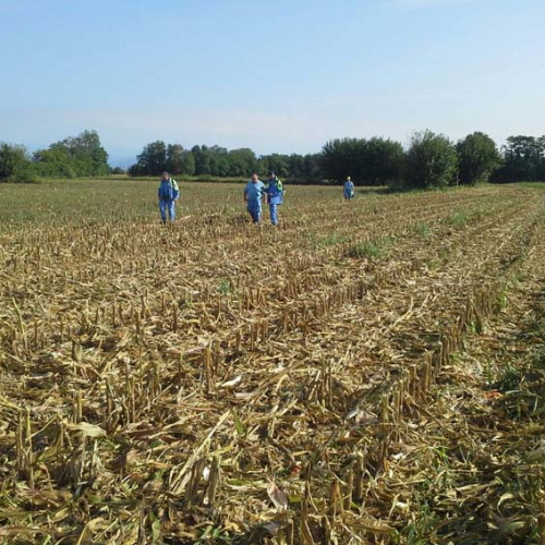 Esercitazione del 14/09 n. 8 / 99877