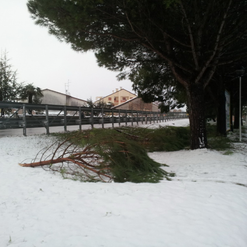 Intervento per la neve del 08/12/12 n. 11 / 89590