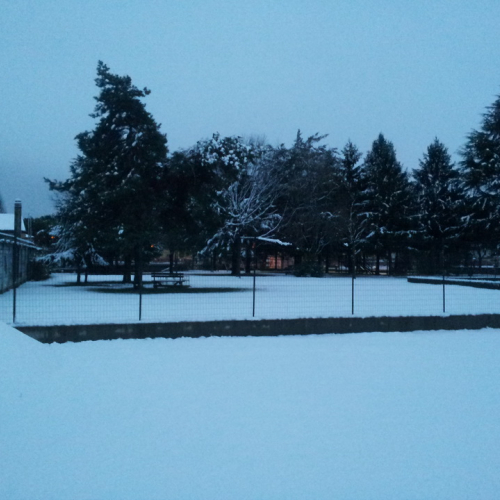 Intervento per la neve del 08/12/12 n. 2 / 89600