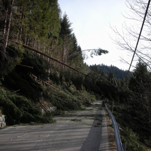 Foto 27/01 n. 8 / 20281