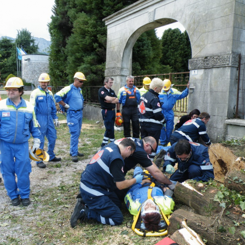 attivit‡ taglio alberi n. 8 / 66733