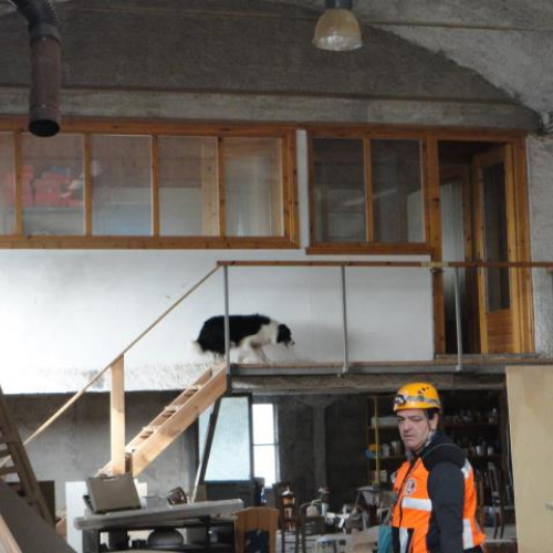 Esercitazione DOG FRIEND 2013" n. 35""sercitazione "DOG FRIE""ercitazi" / 94772