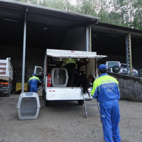 Esercitazione DOG FRIEND 2013" n. 40""sercitazione "DOG FRIE""ercitazi" / 94777