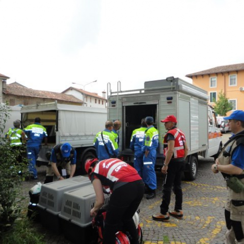 Esercitazione DOG FRIEND 2013" n. 43""sercitazione "DOG FRIE""ercitazi" / 94780