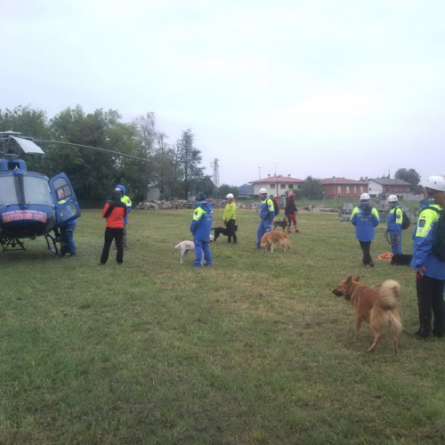 Corso elicooperazione unit‡ cinofile n. 13 / 100419