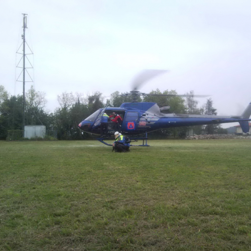 Corso elicooperazione unit‡ cinofile n. 24 / 100430