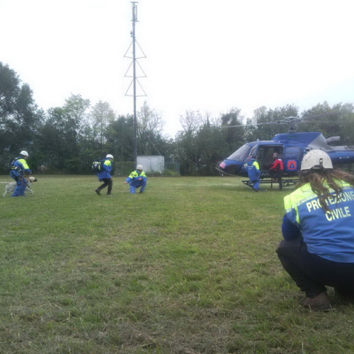 Corso elicooperazione unit‡ cinofile n. 28 / 100434