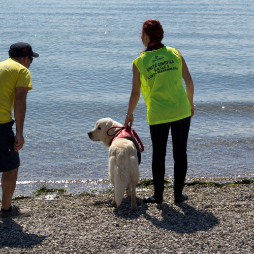 Attivit‡ Gruppo Monfalcone n. 1 / 109703