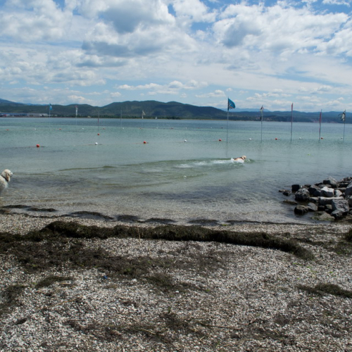 Attivit‡ Gruppo Monfalcone n. 10 / 109712