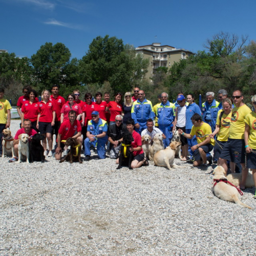 Attivit‡ Gruppo Monfalcone n. 12 / 109714