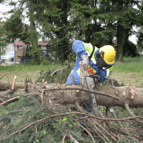 Esercitazione Cerchio 2012: intervento rischio idrogeologico n. 24 / 80192