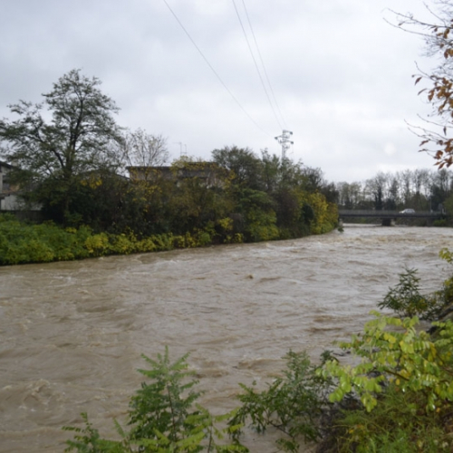 l'esondazione dei Torrenti Lavia e CormÙr foto n.2 / 112087