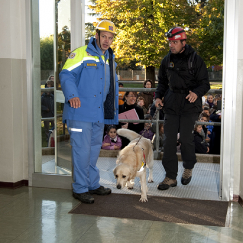 Attivit‡ con scuole a Casarsa n. 3 / 57741