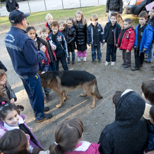 Attivit‡ con scuole a Casarsa n. 15 / 57753