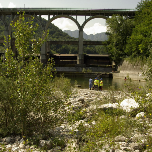 Attivit‡ del 09/07 n. 24 / 69279